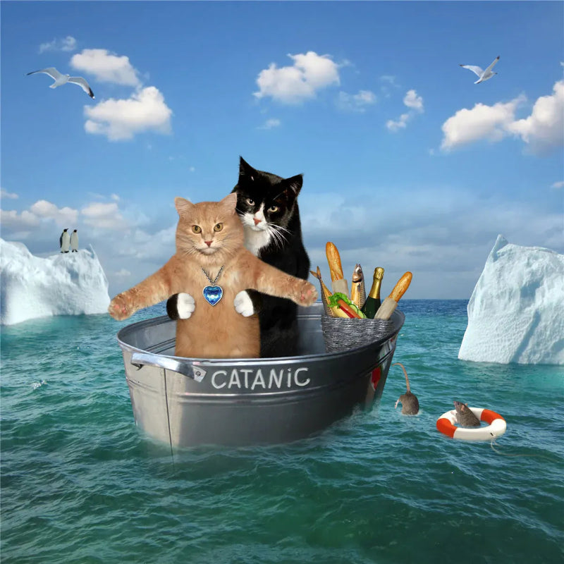 puzzle animaux et autres I boutique1one 101 Drifting cat