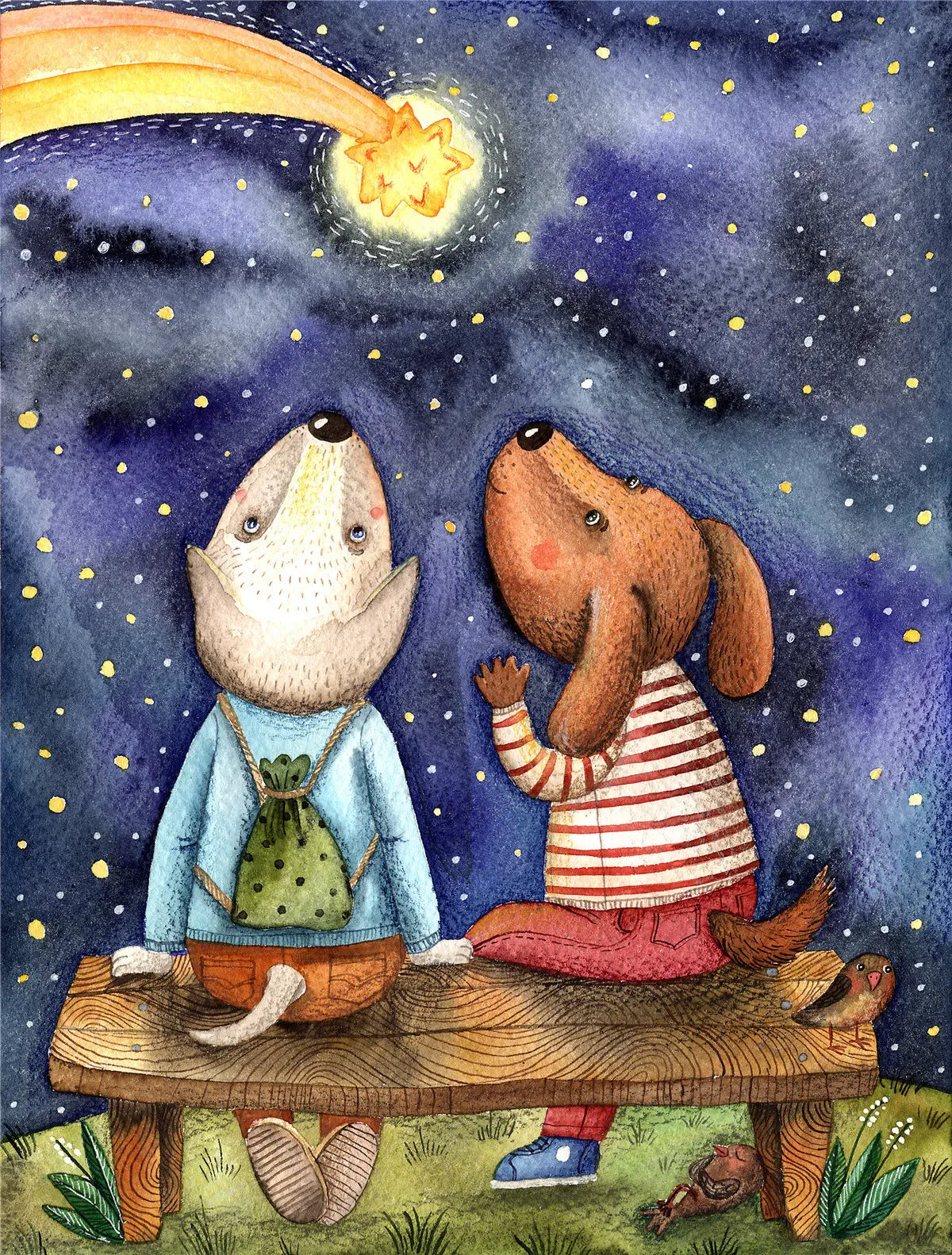 puzzle animaux et autres I boutique1one 105 Watch Comets