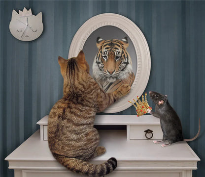 puzzle animaux et autres I Full Puzzle