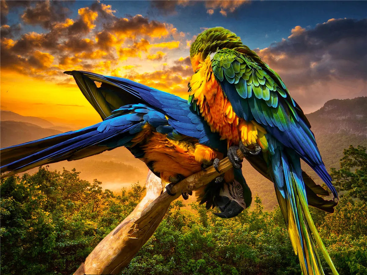 puzzle animaux et autres I boutique1one 111 parrot
