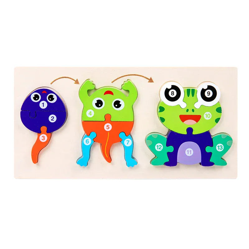 puzzle cycle de la vie I boutique1one frog