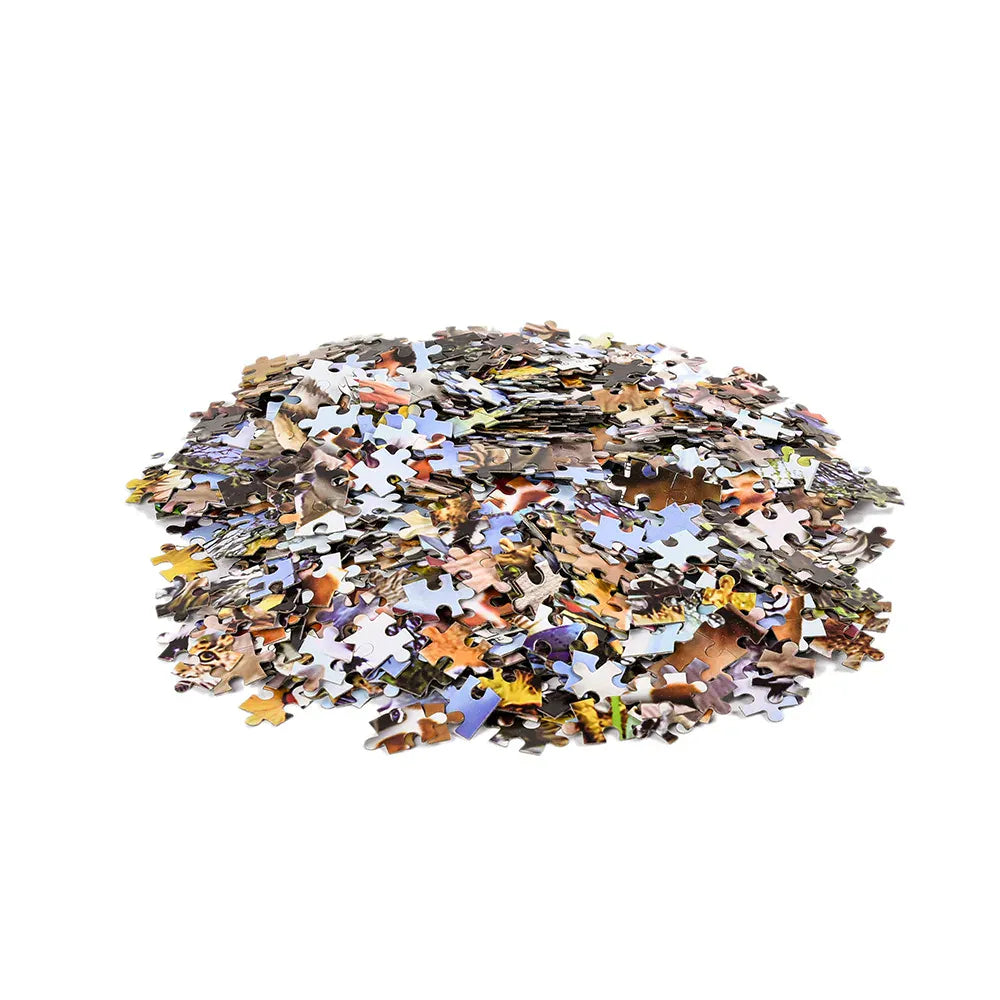 puzzle de différent modèle I boutique1one