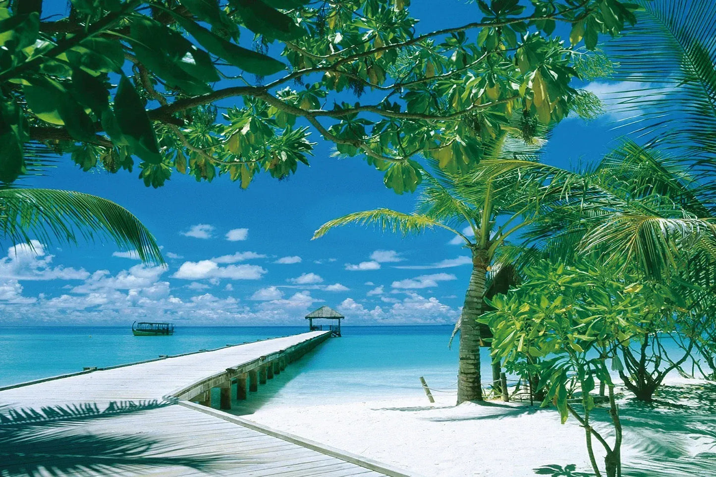 puzzle de différent modèle I boutique1one B153Coconut palms