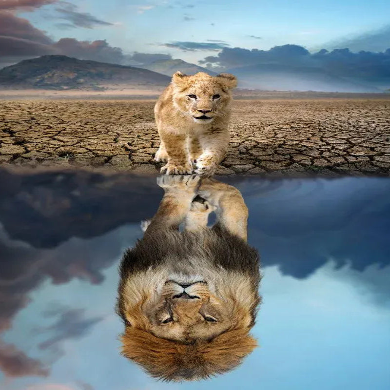 puzzle lionceau I boutique1one Lion Reflection