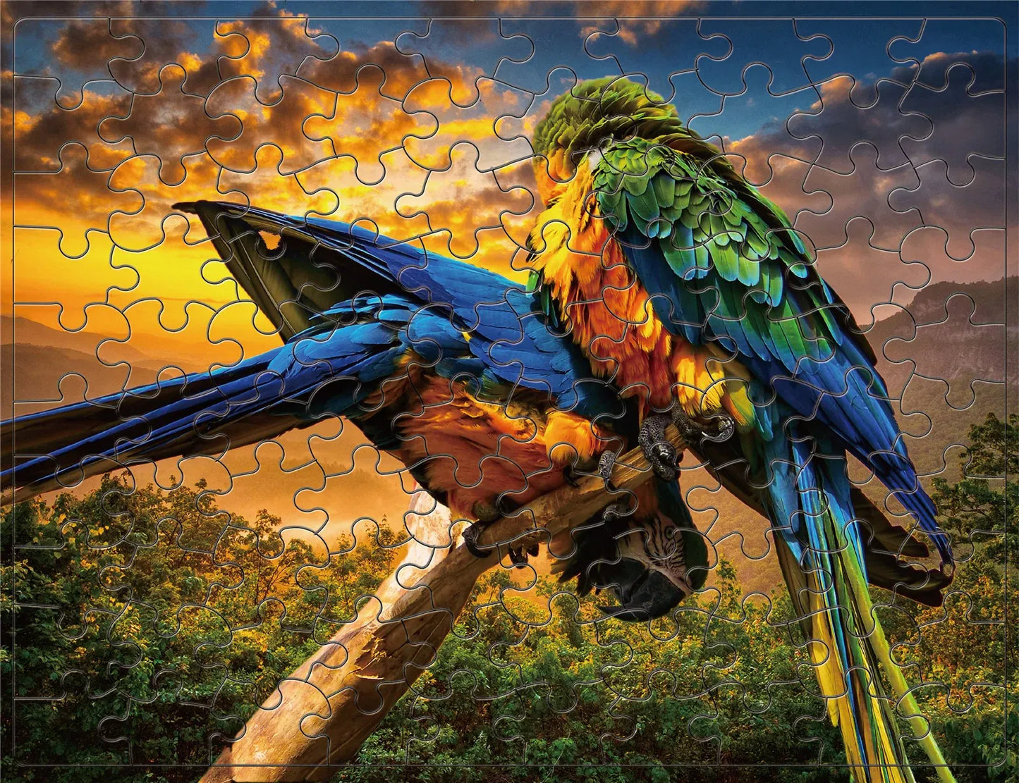 puzzle perroquet I boutique1one Parrot