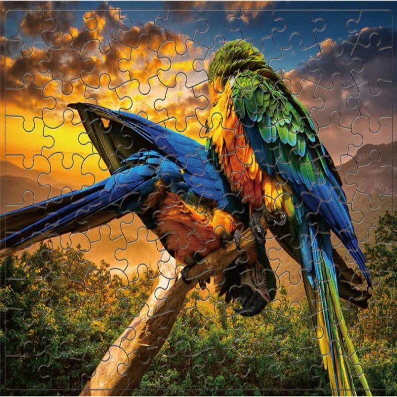 puzzle perroquet I boutique1one Parrot