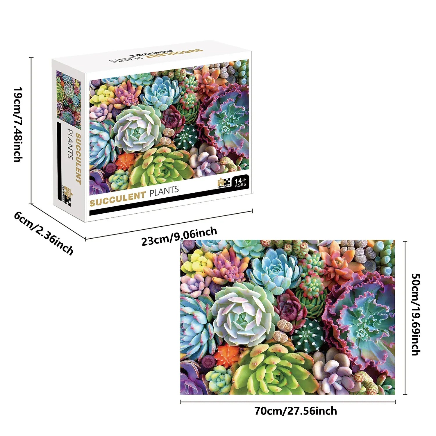 puzzles ronds I boutique1one Succulent Plants